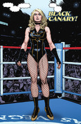 Black Canary Best of The Best #1-3: 1